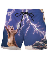 Thundercat Swim Shorts