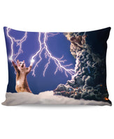 Thundercat Pillow Case