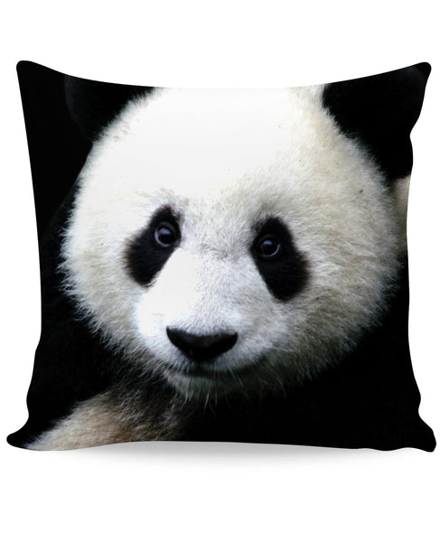 Panda Couch Pillow