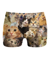 Surprised Cats Underwear